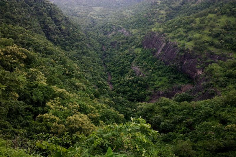 Melghat Tiger Reserve