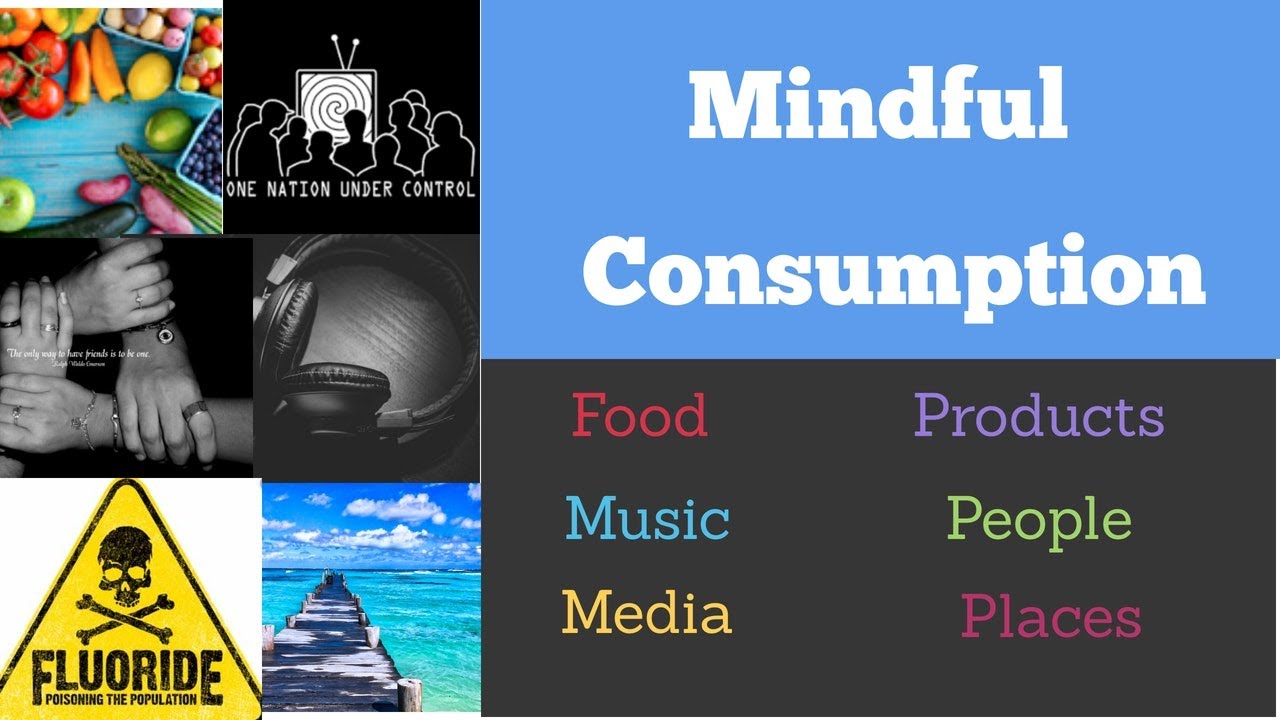 Mindful Consumption of Information: