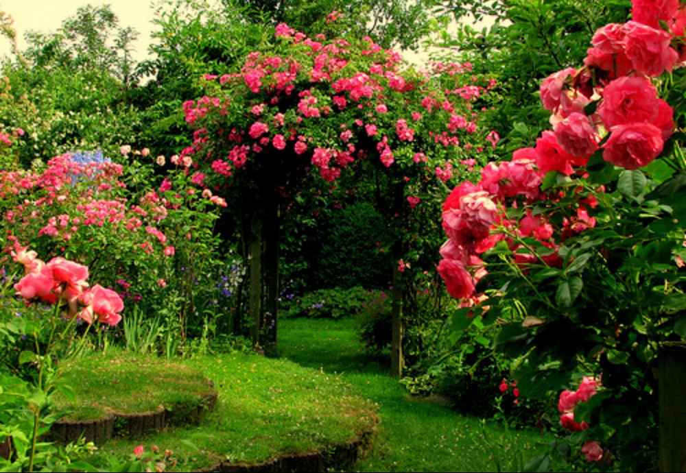 The Romantic Rose Garden