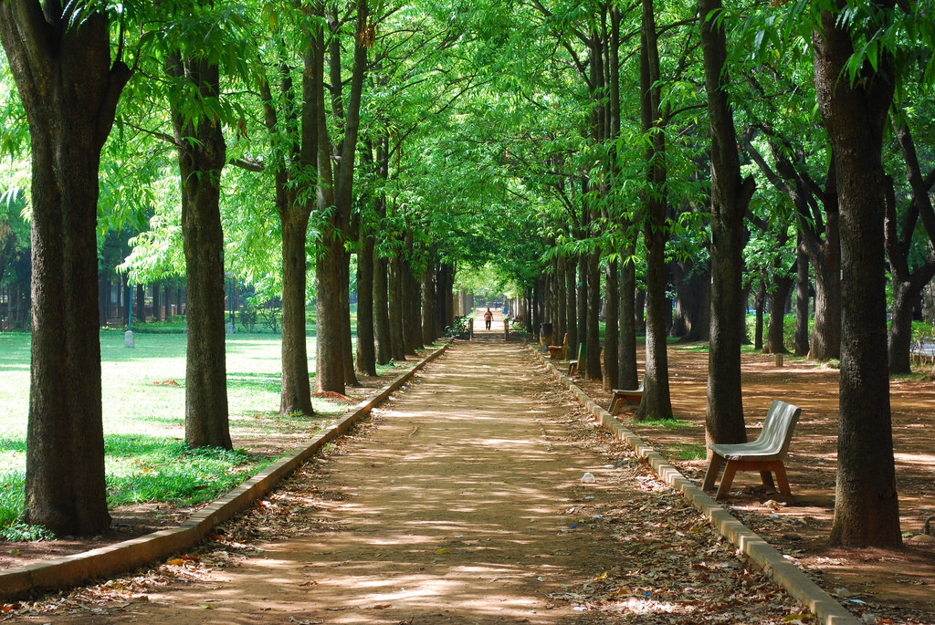 Cubbon Park